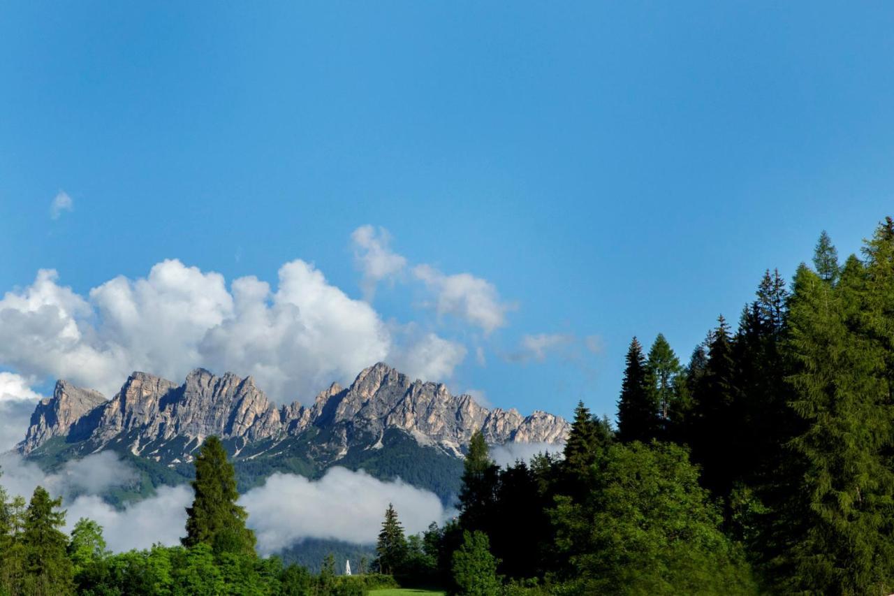 Chalet Del Capriolo Vodo Cadore 外观 照片